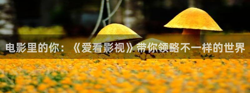 麻豆影片在线观看：电影里的你：《爱看影视》带你领略不一样的世界