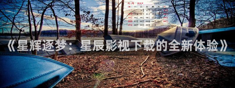 韩国理论电影麻豆：《星辉逐梦：星辰影视下载的全新体验》