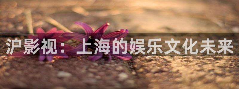 麻豆精品电影网：沪影视：上海的娱乐文化未来