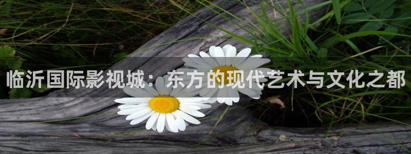 久久视频麻豆：临沂国际影视城：东方的现代艺术与文化之都