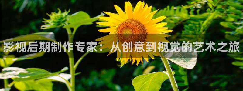 麻豆国产黄色一级免费片：影视后期制作专家：从创意到视觉的艺术之旅
