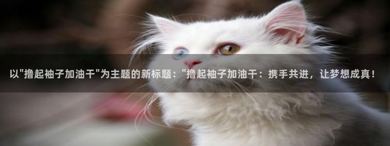神马影院麻豆：以\