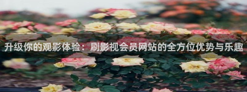 麻豆电影完整版：升级你的观影体验：刷影视会员网站的全方位优势与乐趣