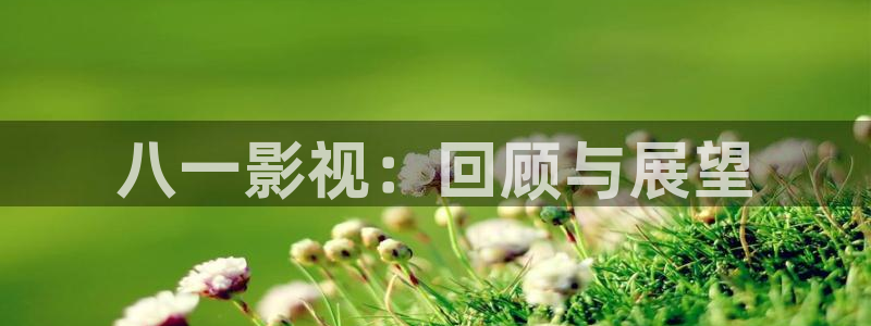 麻豆免费在线影院：八一影视：回顾与展望