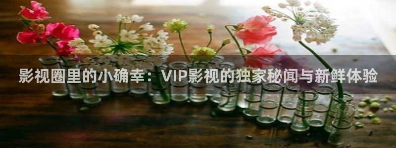 麻豆看大片：影视圈里的小确幸：VIP影视的独家秘闻与新鲜体验